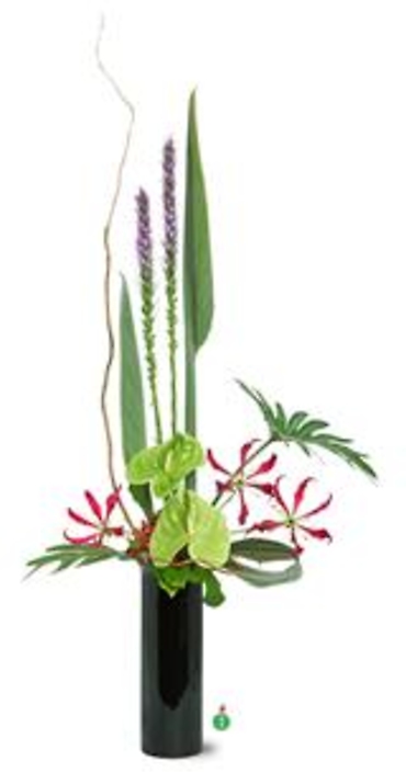 Liatris, Green Anthurium & Orchids