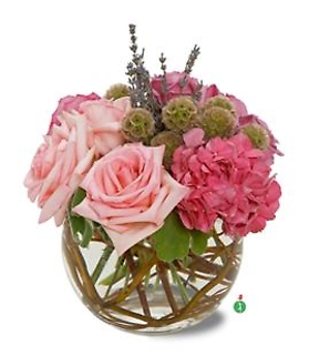 Bubble Bowl of Pink Roses