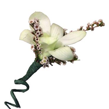 Boutonnieres Orchid